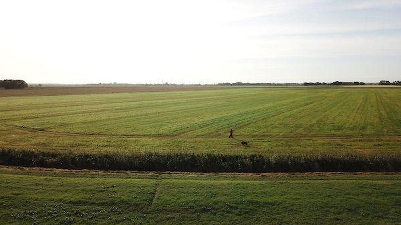 Außenansicht des Gebäudes. Auslauf mit dem Hund Außenansicht des Gebäudes. Auslauf mit dem Hund